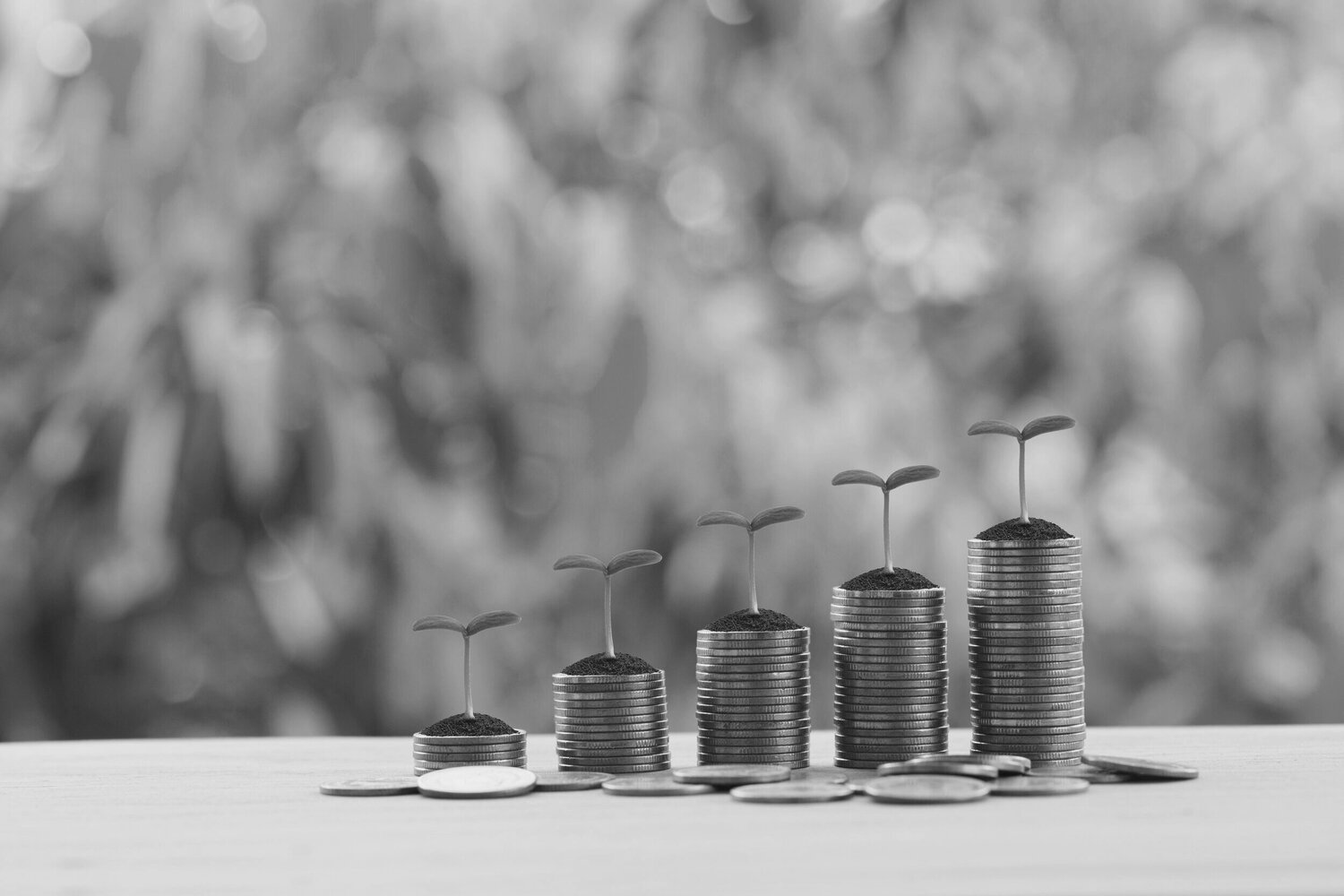 Capital Efficiency and Optimization: Maximizing Your Business’s Potential Capital efficiency and optimization